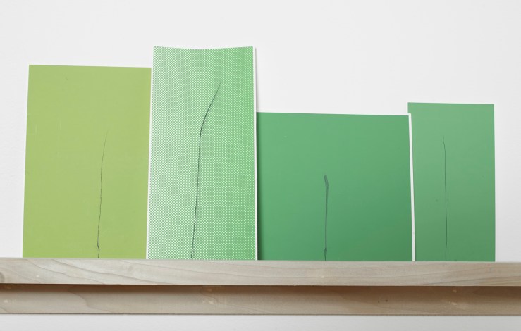 Kate Shepherd, Disputing a Notion, Green Grasses (2000-14). Installation view, photo by Zachary Allen.